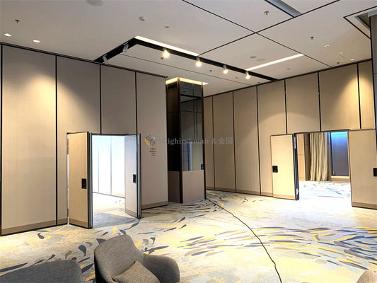 Foldable Partition Wall With Single Or Double Pass Door For Conference Room Space Separation