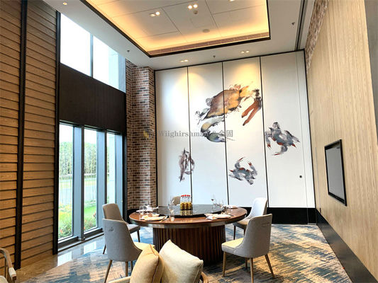 Foldable Partition Wall With Single Or Double Pass Door For Conference Room Space Separation