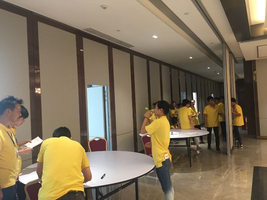 Modern Aluminum Alloy Decorative Wall Partition