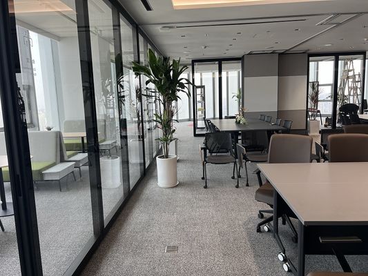Anodized Aluminum And Glass Materials For Fireproof Office Partition Wall In Commercial Buildings