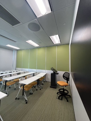 Modern Style Decorative Partition Wall with Customized Design and Aluminum Alloy Frame Option