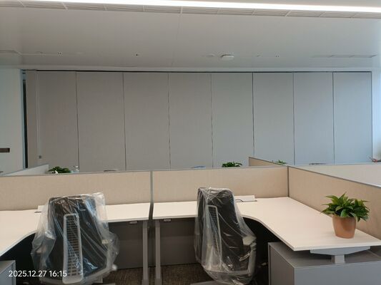 Aluminum Alloy Frame Decorative Wall Divider 100mm Thickness Designed to Improve Space Functionality and Aesthetic Value